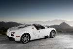 Bugatti Veyron 16.4 Grand Sport Roadster 2008 года